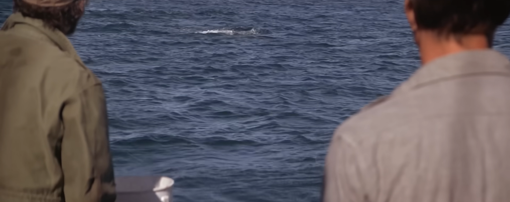 The two men watch the water in Jaws