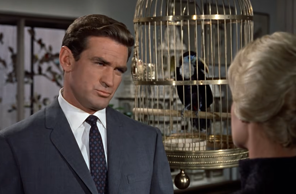 Rod Taylor in The Birds