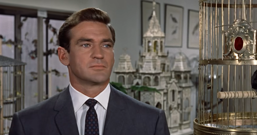 Rod Taylor in The Birds