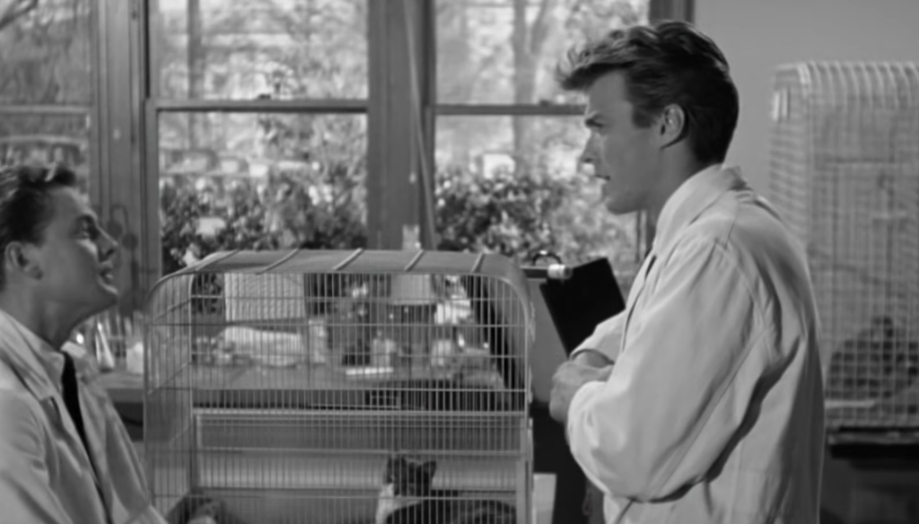 Clint Eastwood in Revenge of the Creature