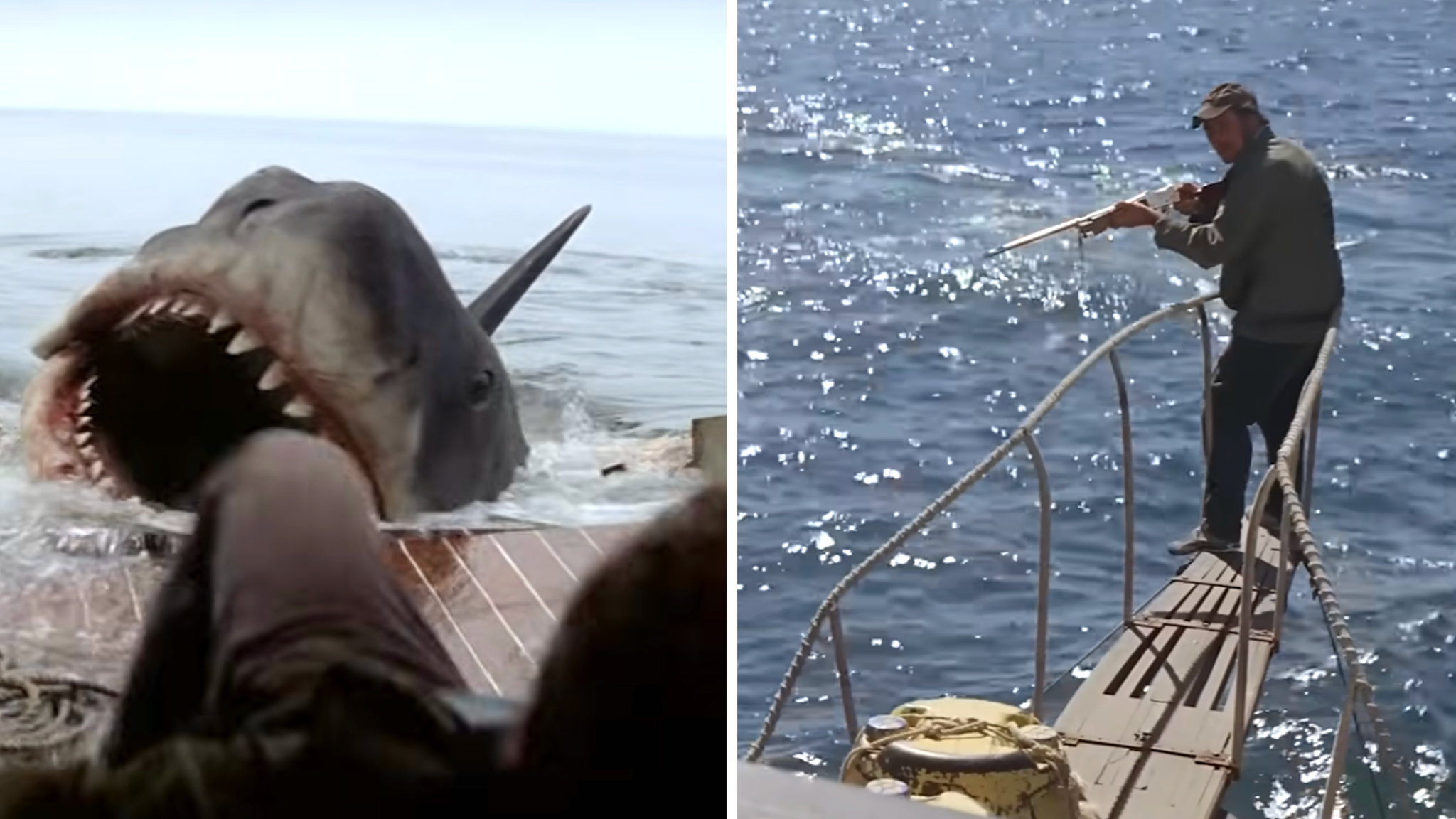 Steven Spielberg Almost Quit His Cinema Career For Jaws 
