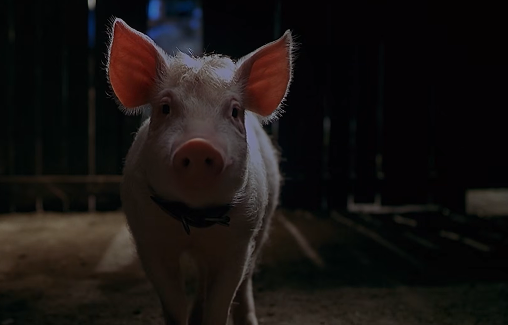 Babe: Pig in the City