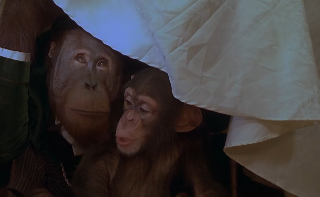 Monkeys in Babe: Pig in the City