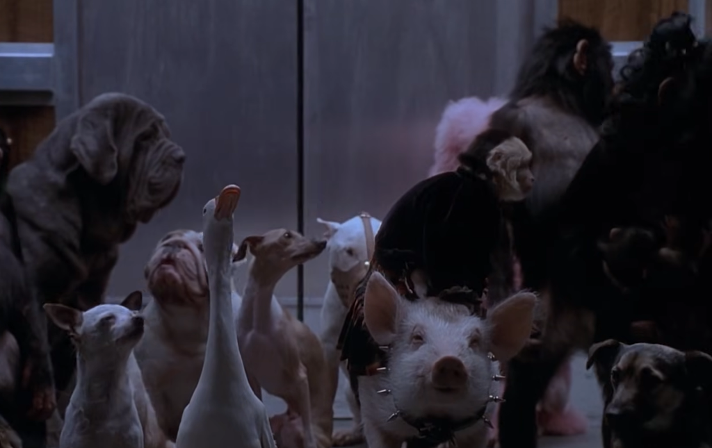 Babe: Pig in the City