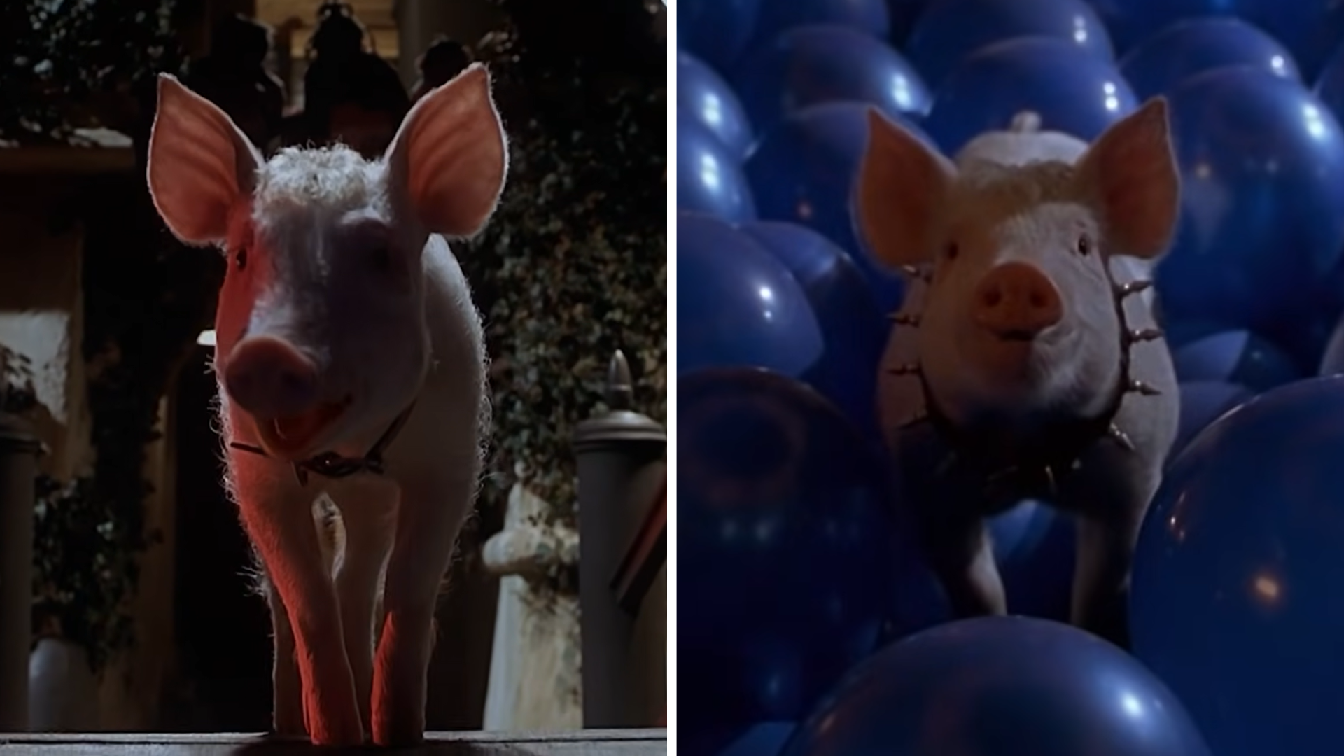 10 Tricks Behind Babe: Pig in the City’s Wildest Scenes
