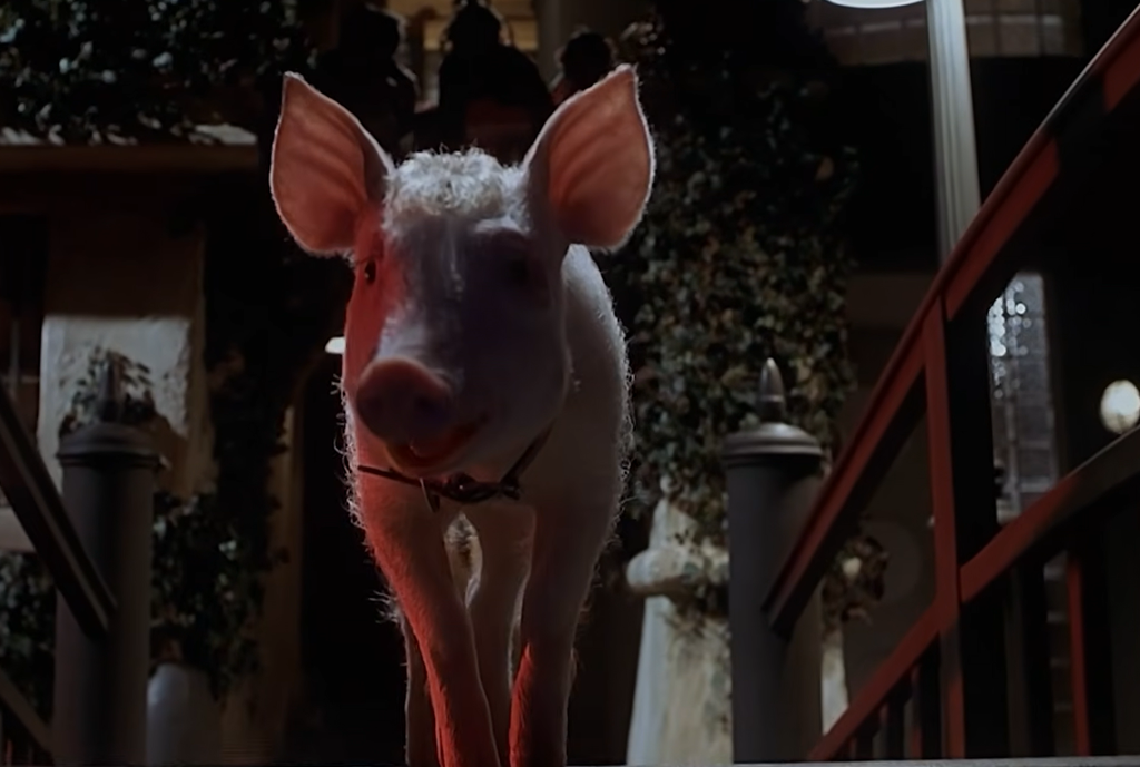 Babe: Pig in the City
