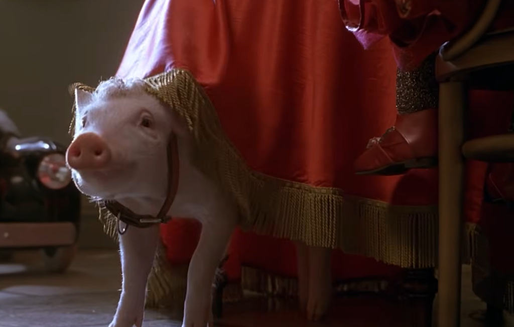 Mrs. Hoggett in Babe: Pig in the City